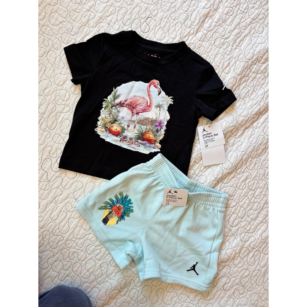 Jordan Toddler Boys 2-Piece Set Black Flamingo Graphic Tee Blue Shorts 2T